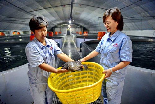 涉林下經(jīng)濟 深遠海養(yǎng)殖等,大食物觀構(gòu)建多元化供給體系